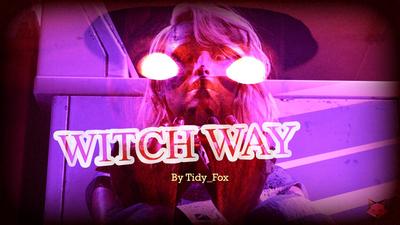 3D Tidy Fox - Witch Way