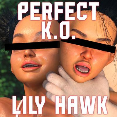 3D oofoe - Perfect K.O.: Lily Hawk (Street Fighter)