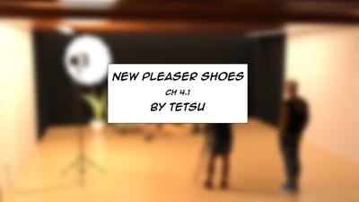 3D TetsuGTS - New Pleaser Shoes 4.1