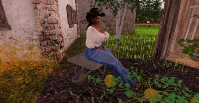 3D MissTanya - On the farm