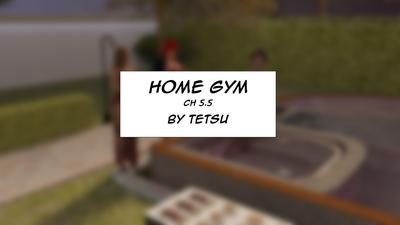 3D TetsuGTS - Home Gym 5.5