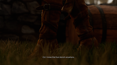3D The Witcher: A Costly Shortcut by Belethor's Smut