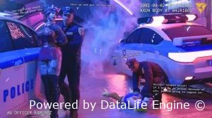 3D [Lewdink] Kiriko & Sombra - Overwhore catfight