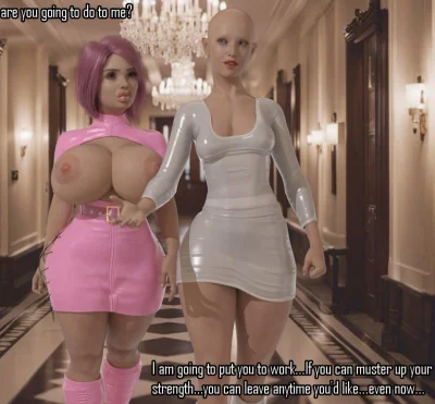 3D Bringthefun - Part 3 the neverending whore-er